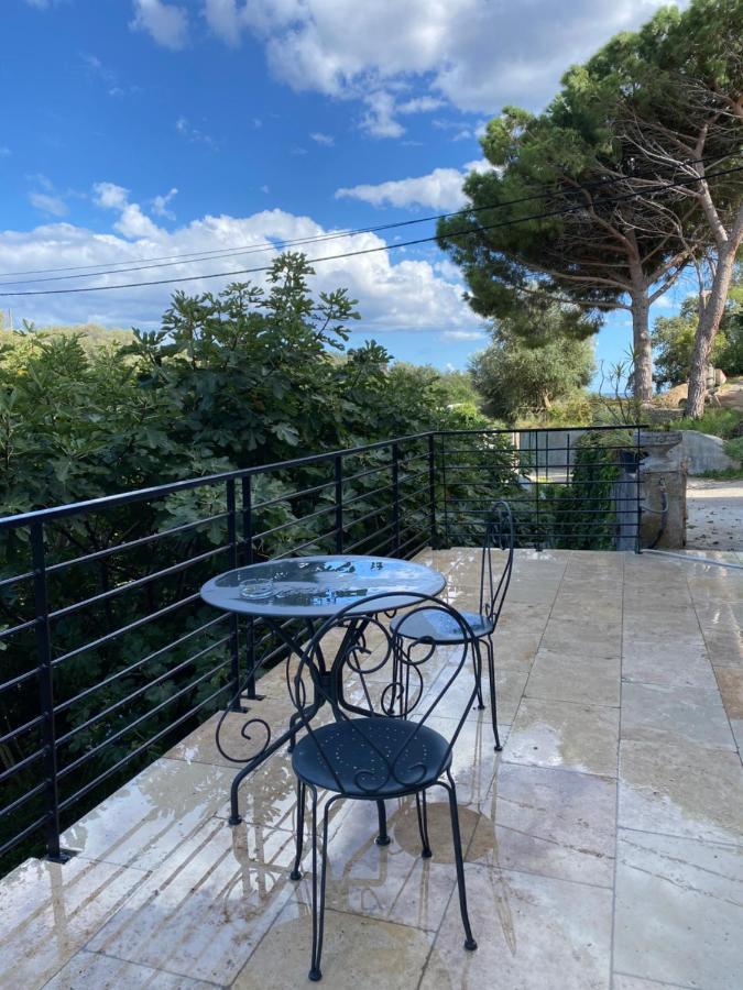 Home Sweet Home 2 Pieces 42 M2 Chambre, Salon, Cuisine, Grande Terrasse, Parking Proche Centre Ville Et Mer バスティア エクステリア 写真